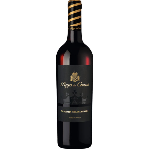 Pago de Cirsus Vendimia Seleccionada, Bolandin DOP, Navarra, 2023, Rotwein
