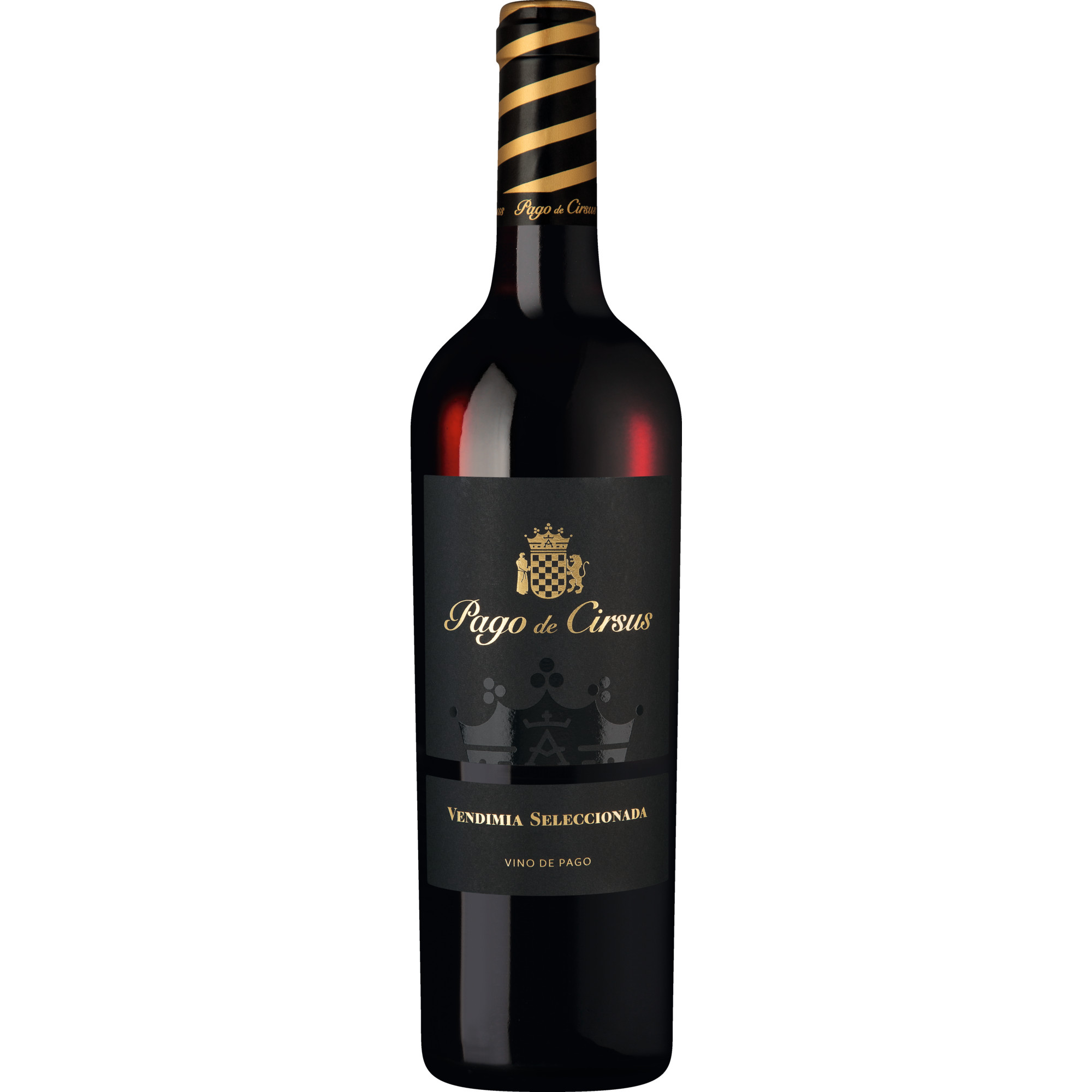 Pago de Cirsus Vendimia Seleccionada, Bolandin DOP, Navarra, 2023, Rotwein