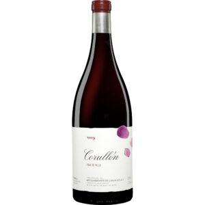 Palacios Bierzo »Villa de Corullón« - 3,0 L. Doppelmagnum 2019 3L 13.5% Vol. Rotwein Trocken aus Spanien