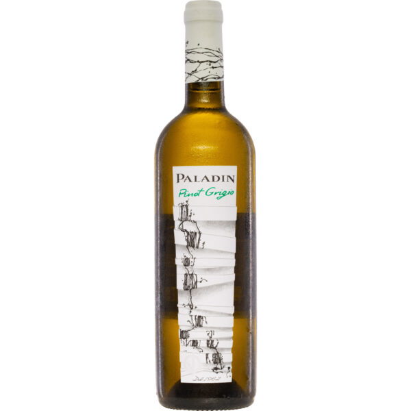 Paladin Pinot Grigio, Veneto IGP, Venetien, 2024, Weißwein