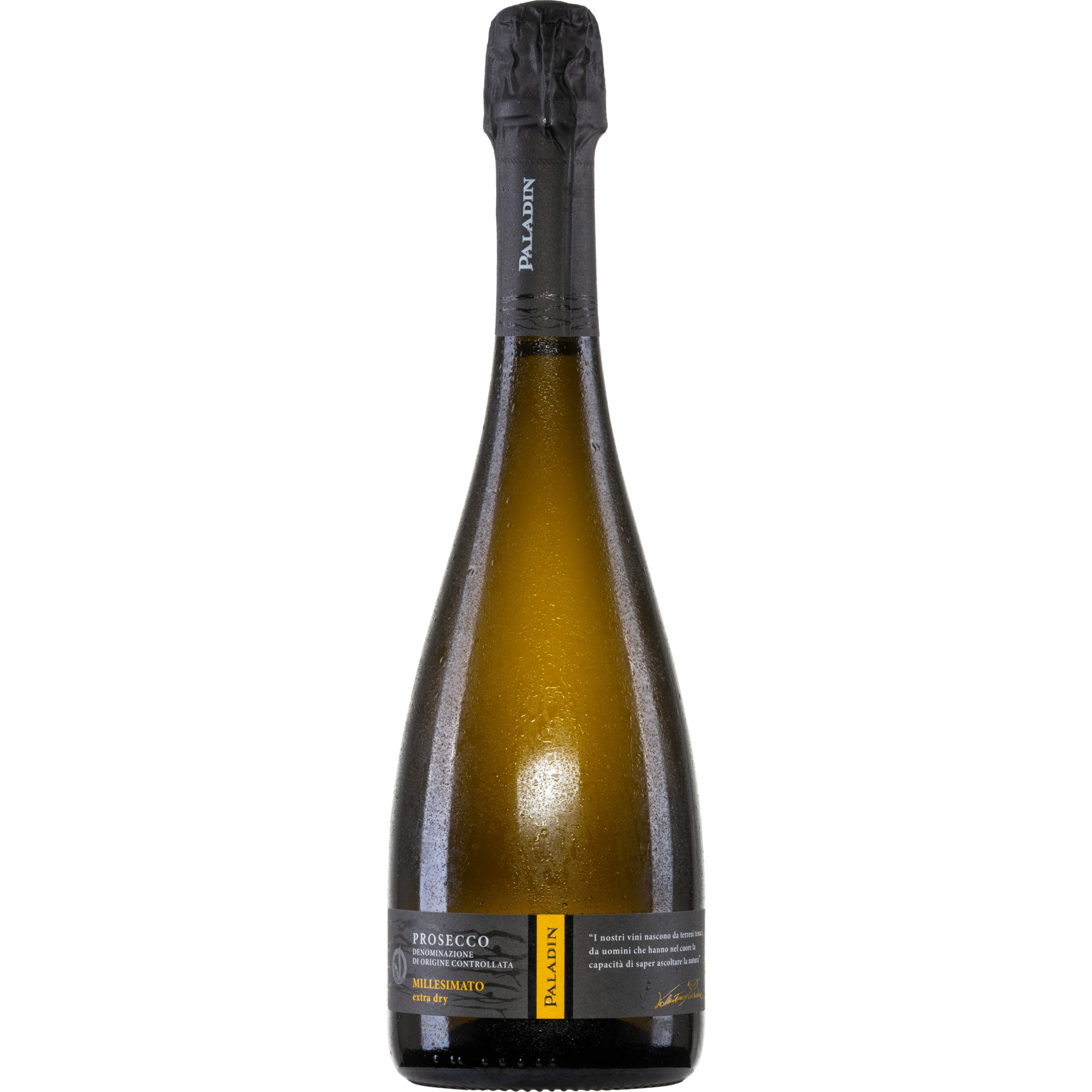 Paladin Prosecco Millesimato, Extra Dry, Prosecco DOC, Venetien, 2024, Perlwein / Secco