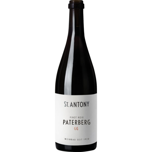 Paterberg Pinot Noir GG, Trocken, Rheinhessen, Rheinhessen, 2022, Rotwein