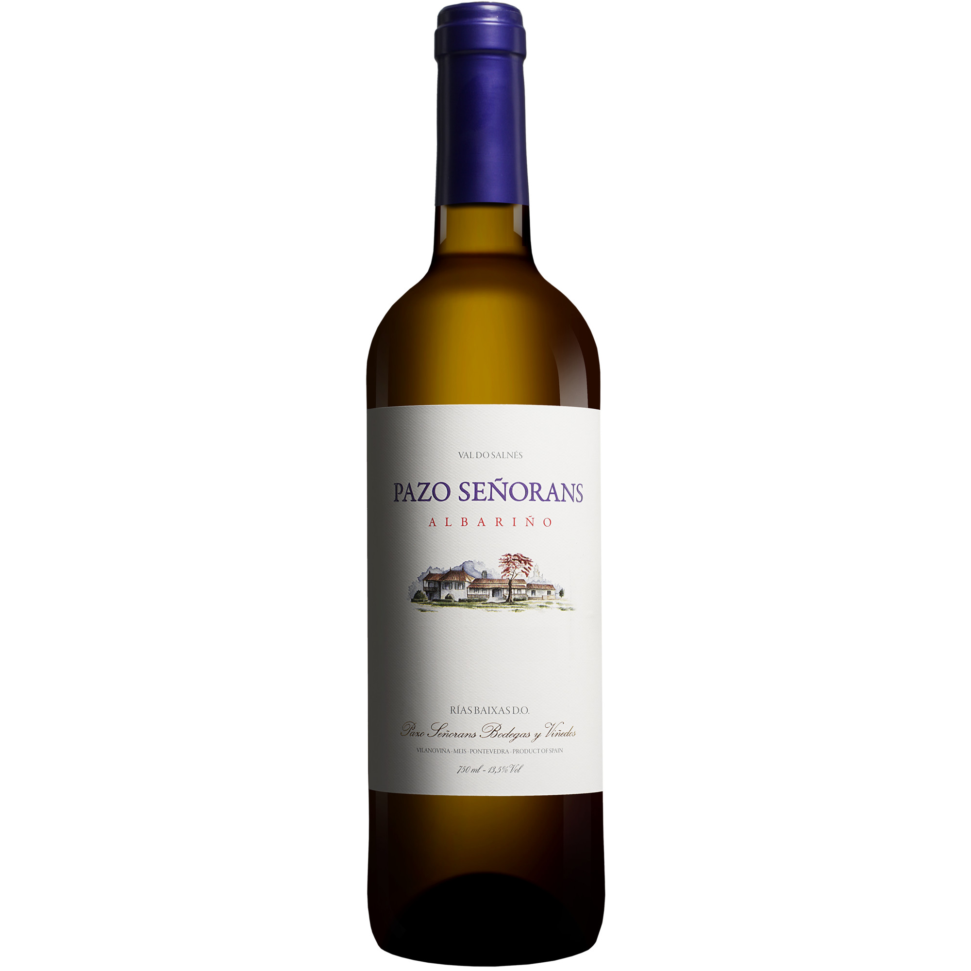 Pazo de Señorans Albarino 2025 0.75L 13.5% Vol. Weißwein Trocken aus Spanien