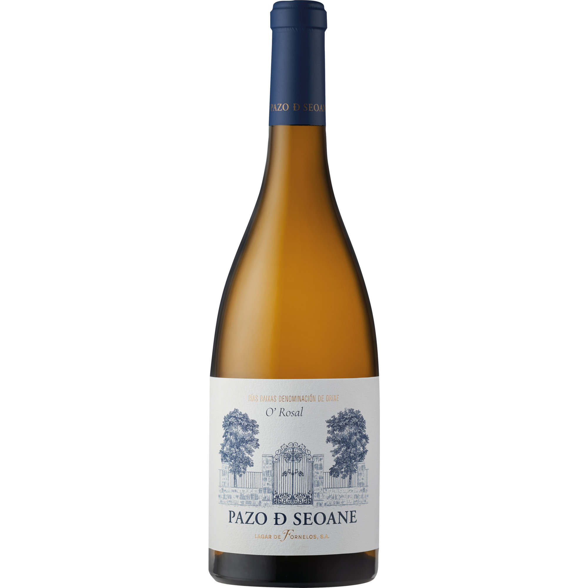 Pazo De Soane O Rosal, Rías Baixas DO, Galicien, 2024, Weißwein