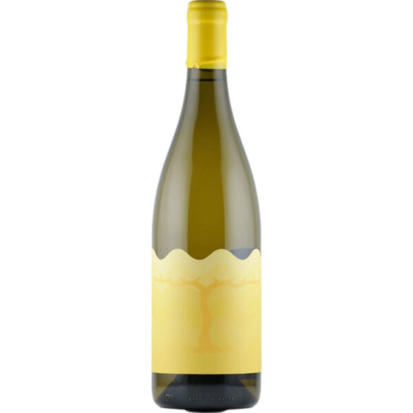 Pery Wines Rkatsiteli, Trocken, Georgien, Kakheti, Weißwein