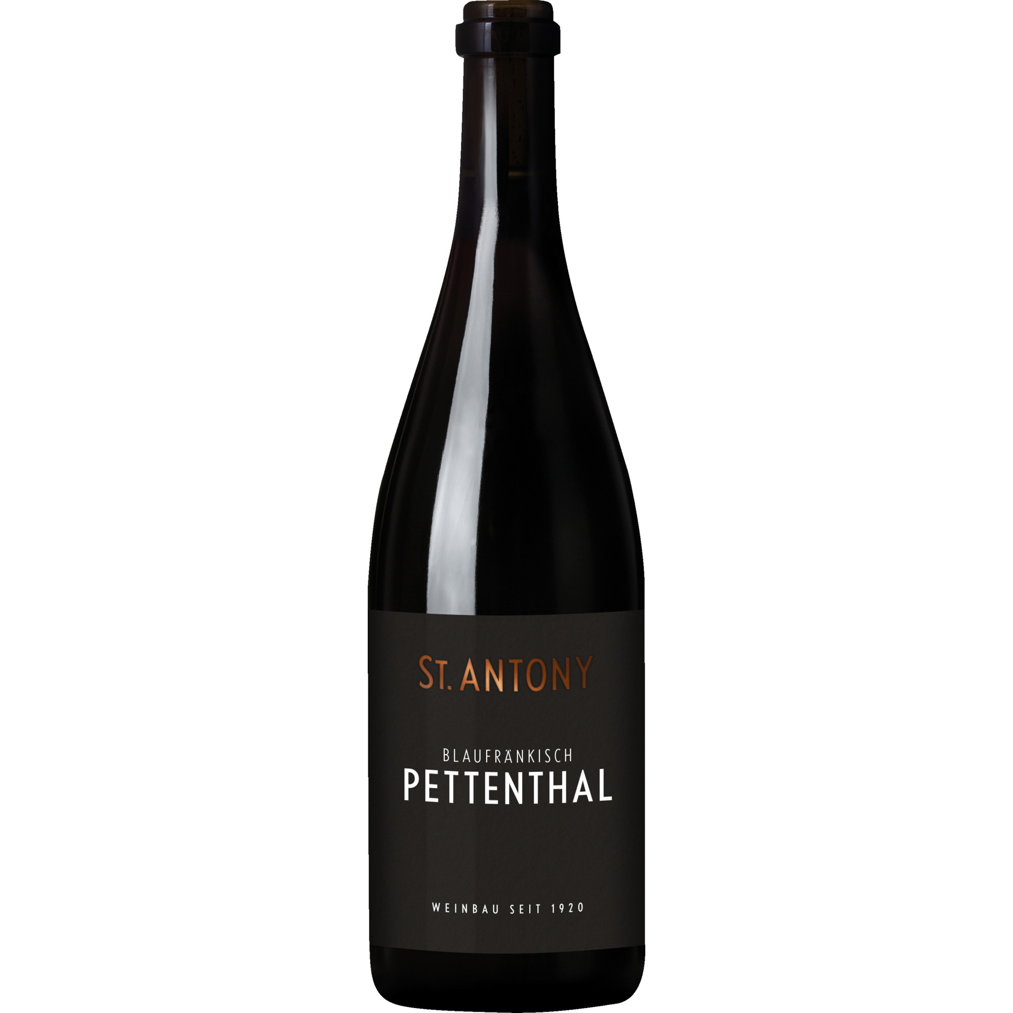 Pettenthal Blaufränkisch, Trocken, Rheinhessen, Rheinhessen, 2021, Rotwein