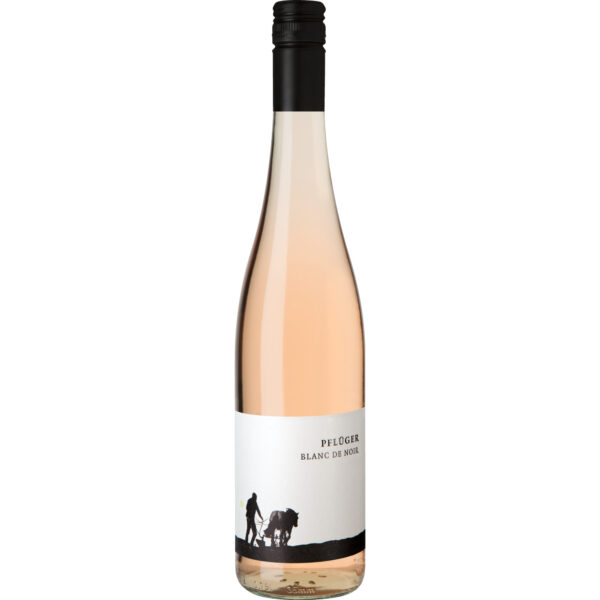 Pflüger Blanc de Noir, Trocken, Pfalz, Pfalz, 2024, Roséwein