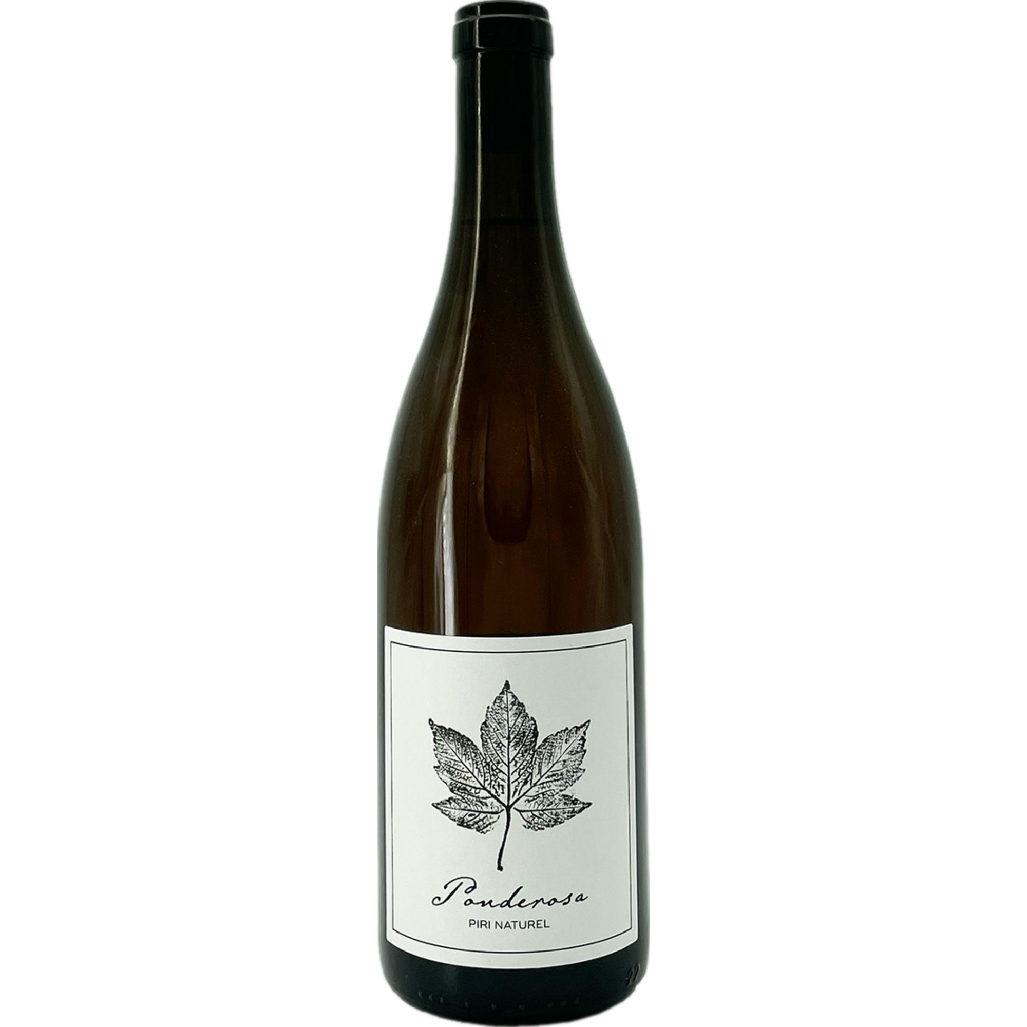 Piri Naturel Ponderosa Bio, Trocken, Nahegauer Landwein, Nahe, 2022, Roséwein