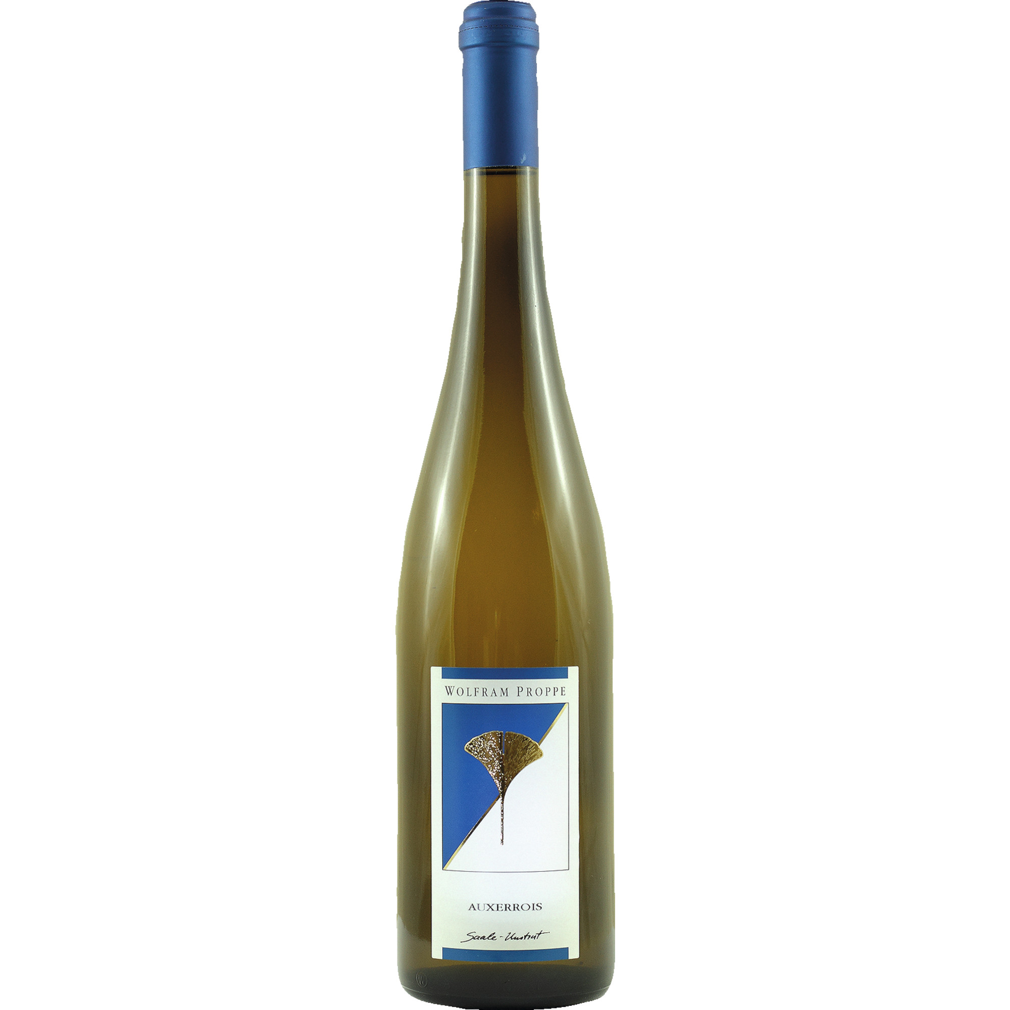 Proppe Auxerrois, Trocken, Saale-Unstrut, Saale-Unstrut, 2025, Weißwein