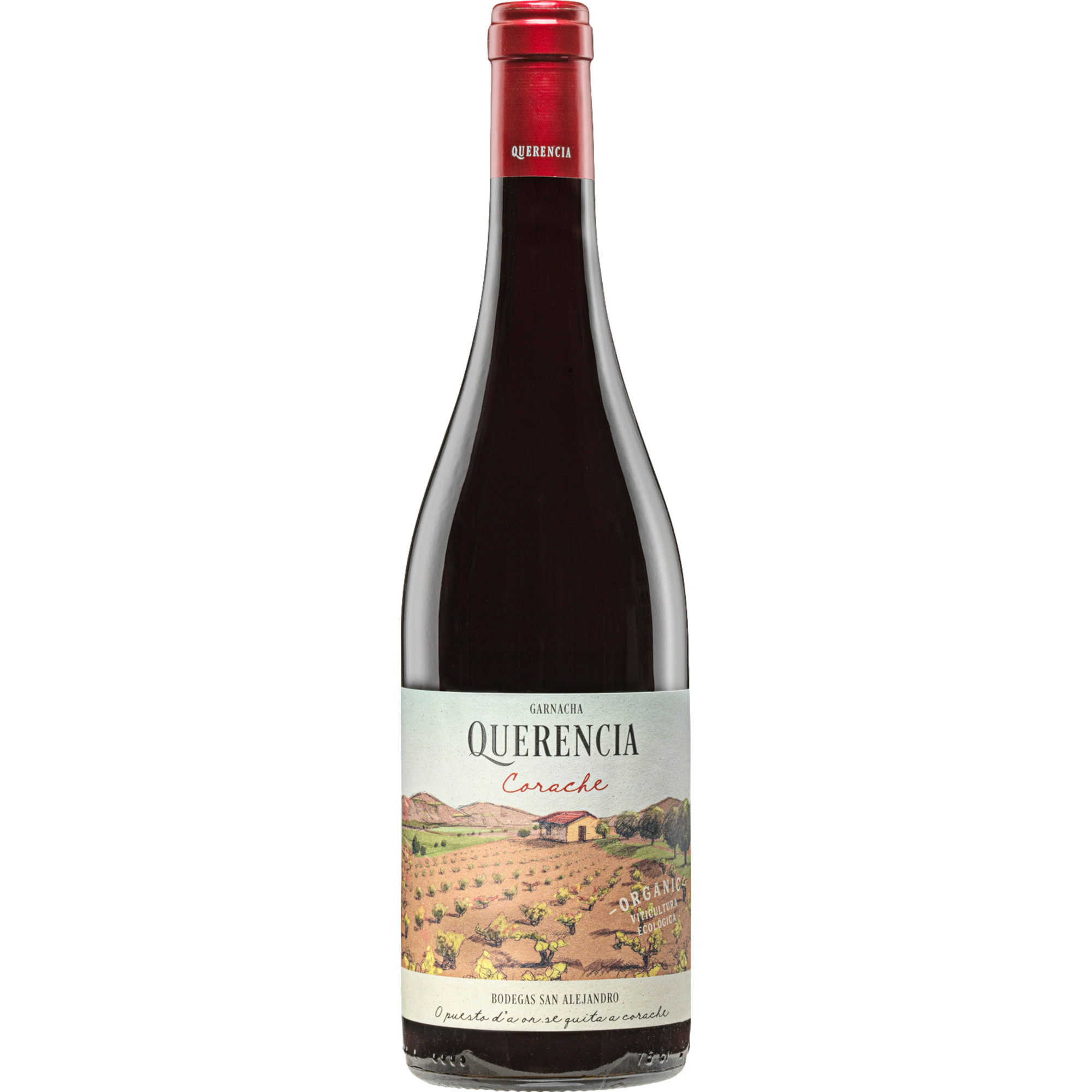 Querencia Corache Bio, Calatayud DO, Aragonien, 2024, Rotwein