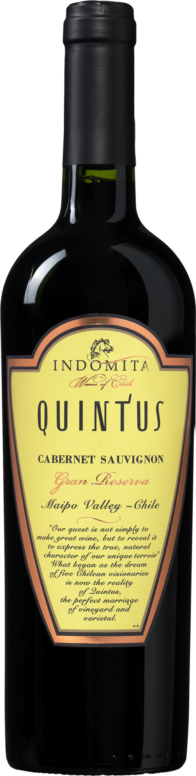 Quintus Gran Reserva Cabernet Sauvignon - die Weinbörse