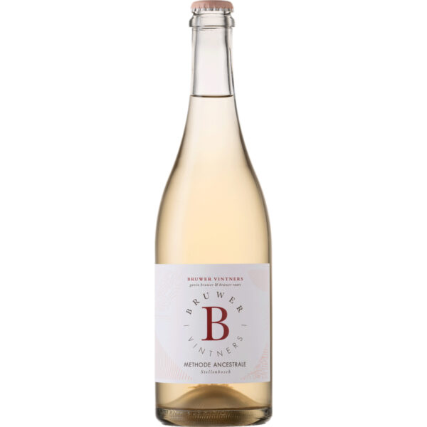 Raats Methode Ancestrale, WO Stellenbosch, Western Cape, 2024, Rotwein