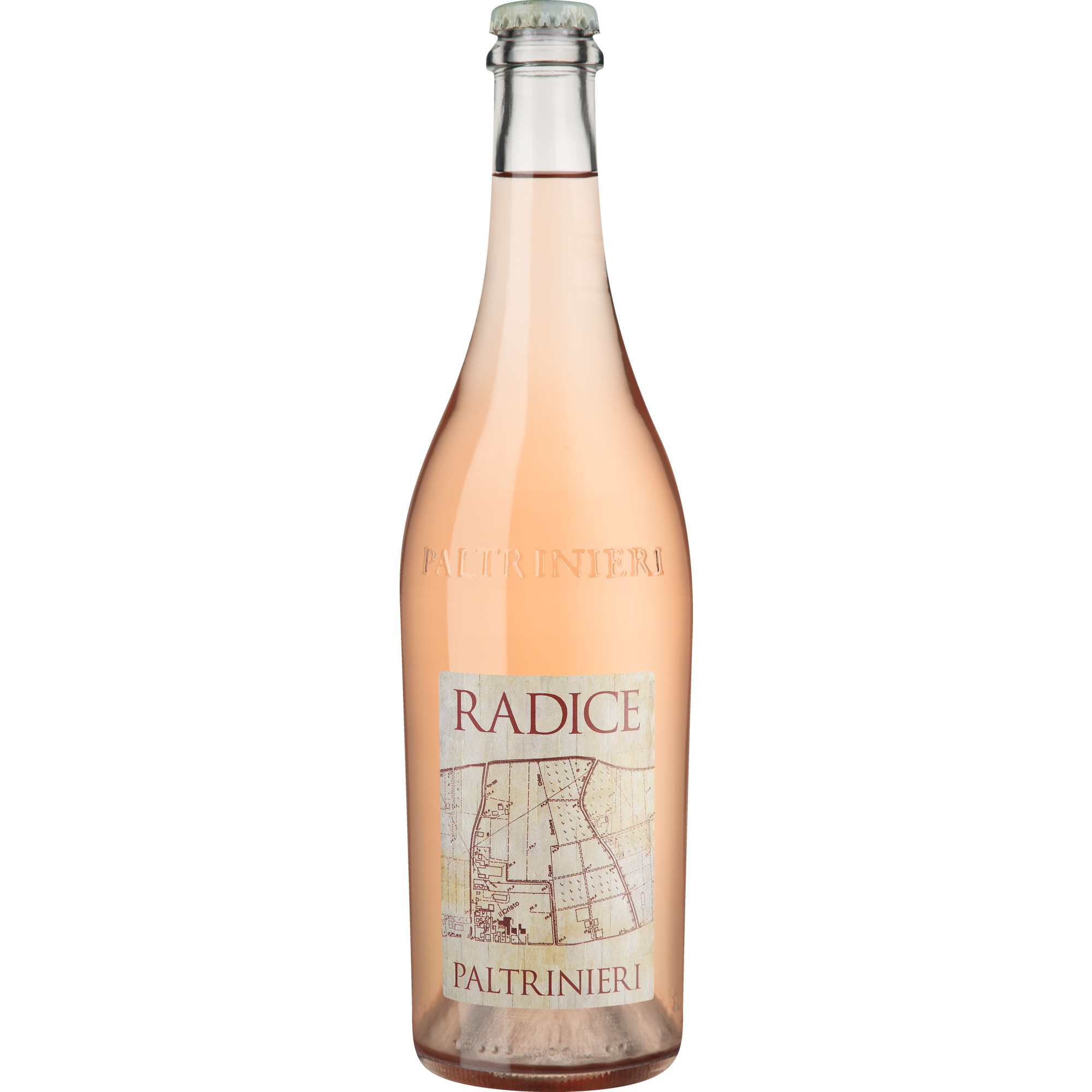 Radice Lambrusco, Lambrusco di Sorbara DOC, Secco Frizzante, Emilia Romagna, 2024, Perlwein / Secco