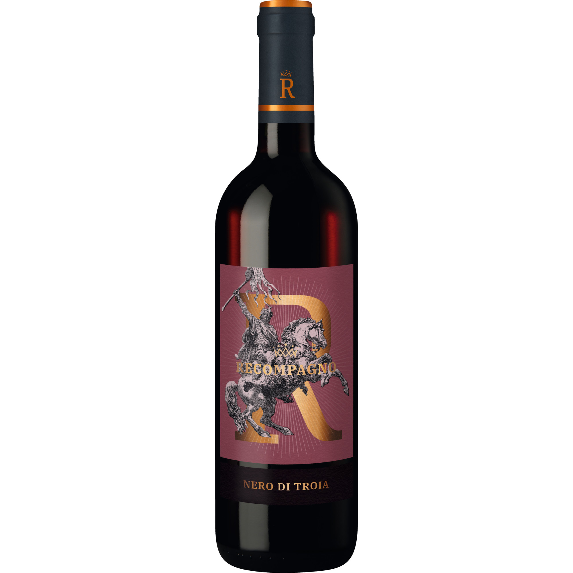 Recompagno Nero di Troia, Puglia IGT, Apulien, 2024, Rotwein