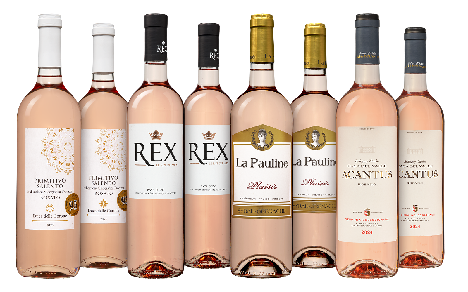 Reiches Rosé-Weinpaket - die Weinbörse