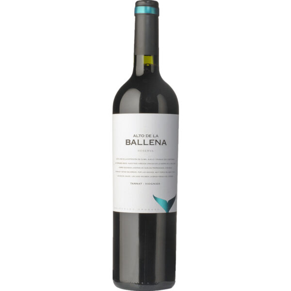 Reserva Tannat Viognier, Maldonado, Montevideo, 2015, Rotwein