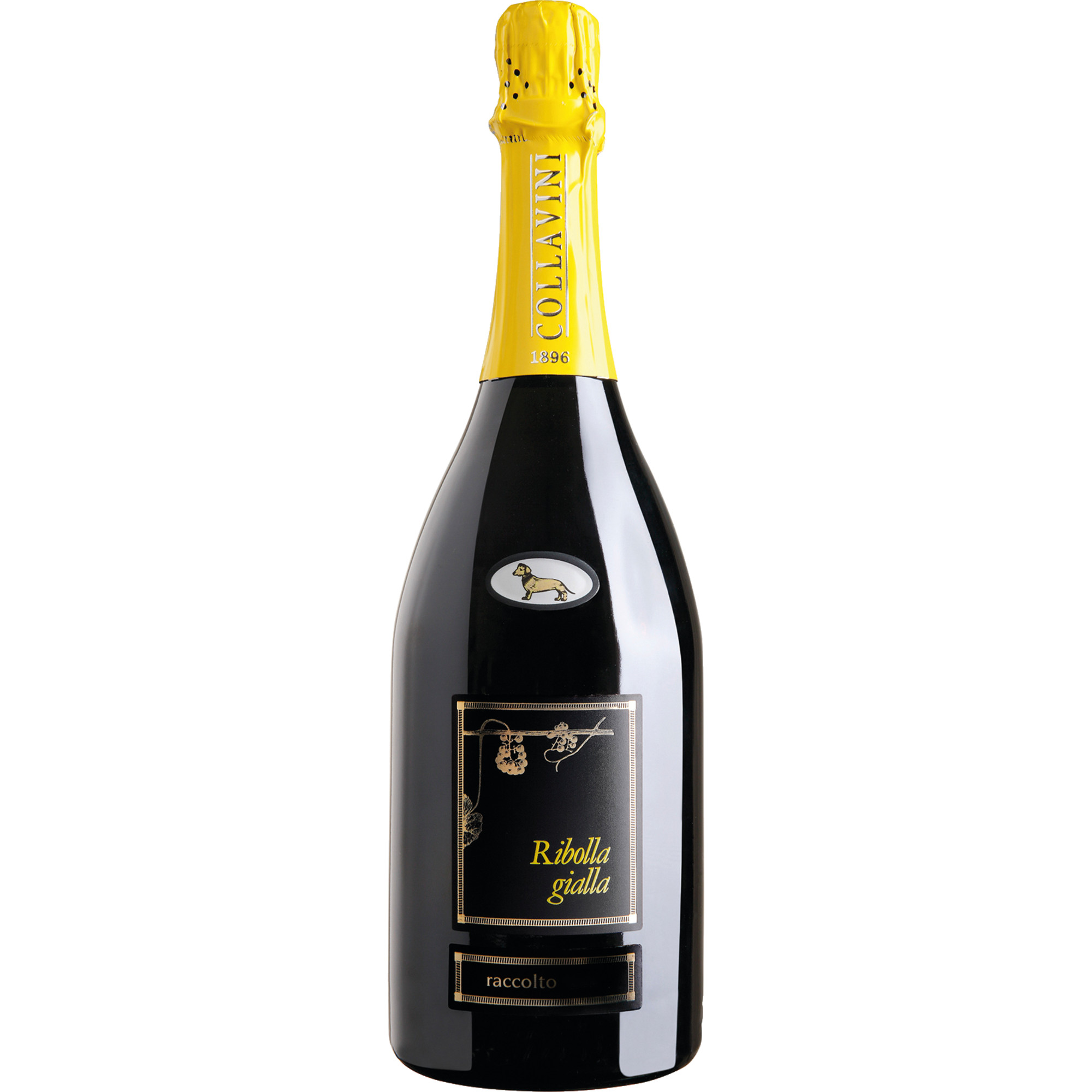 Ribolla Gialla Brut, Venetien, 2018, Schaumwein