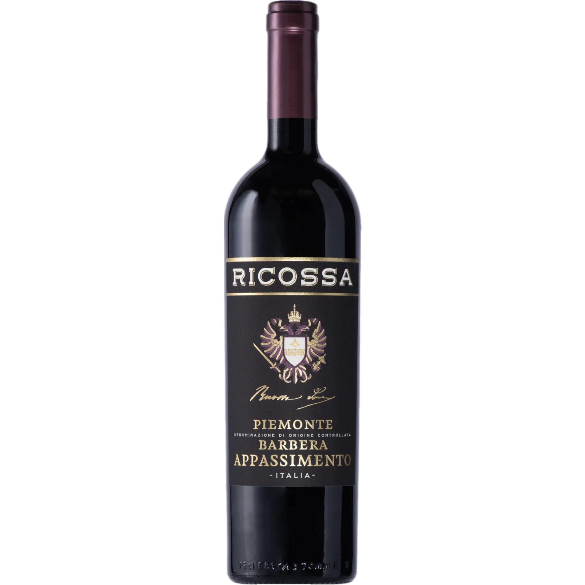 Ricossa Barbera Appassimento, Piemonte DOC, Piemont, 2023, Rotwein