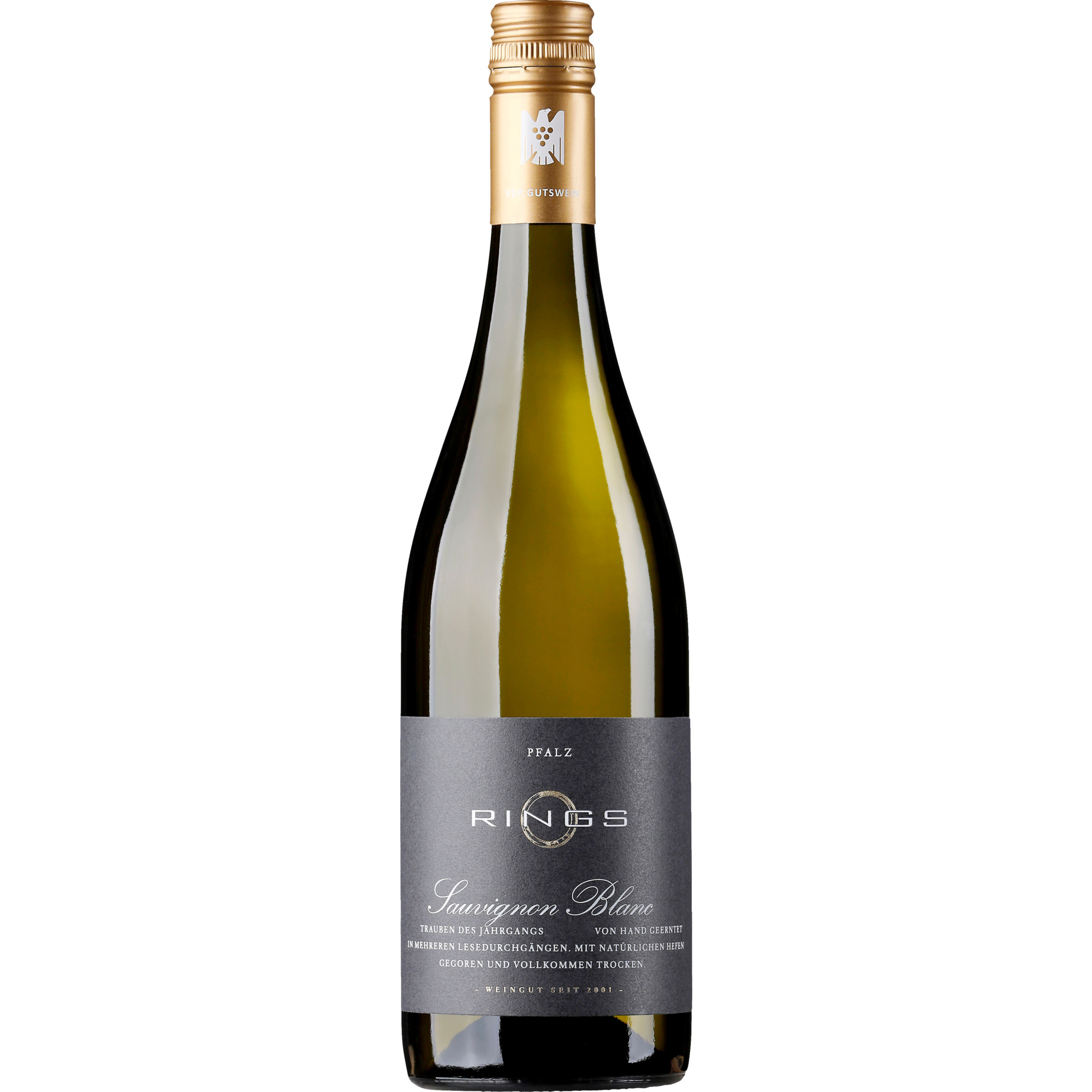 Rings Sauvignon Blanc, Trocken, Pfalz, Pfalz, 2024, Weißwein