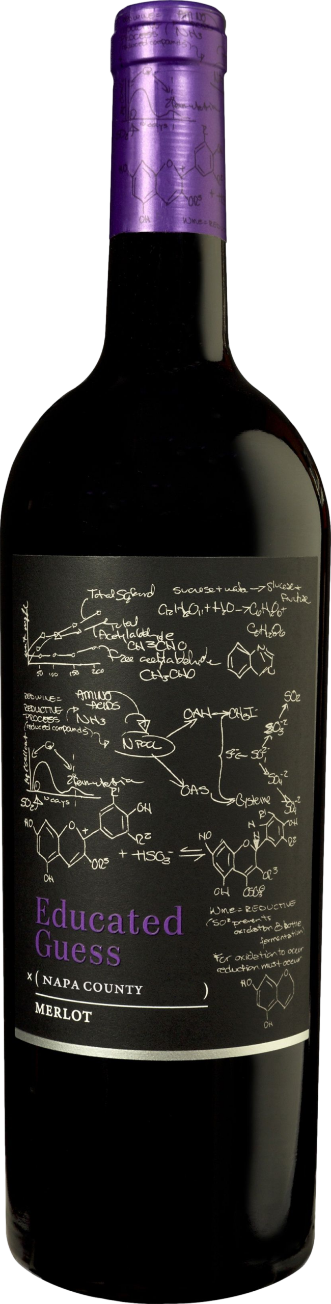Roots Run Deep Educated Guess Merlot 2023