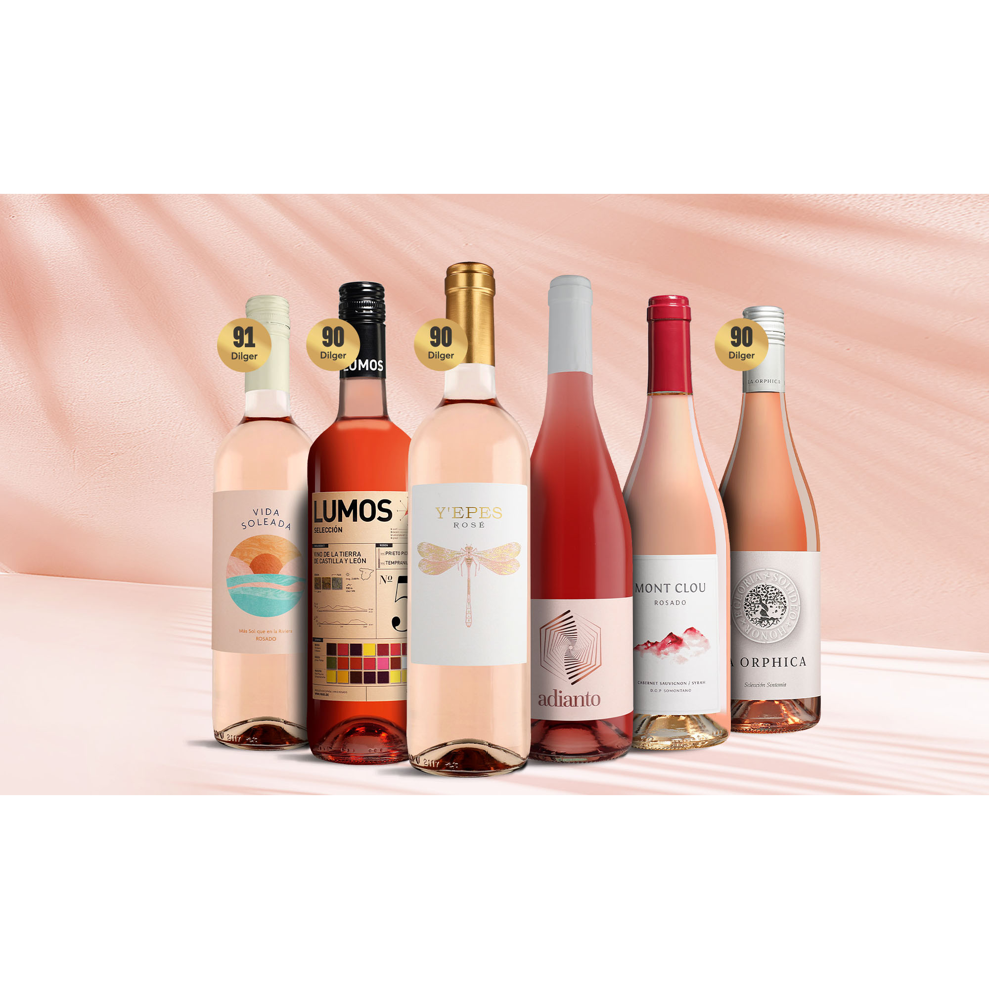 Rosado-Favoriten 4.5L Weinpaket aus Spanien