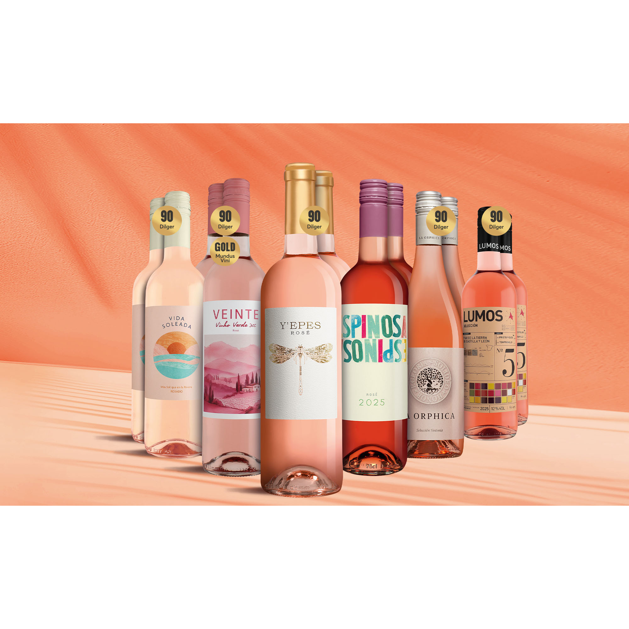 Rosé Genießer-Paket 9L Weinpaket aus Spanien