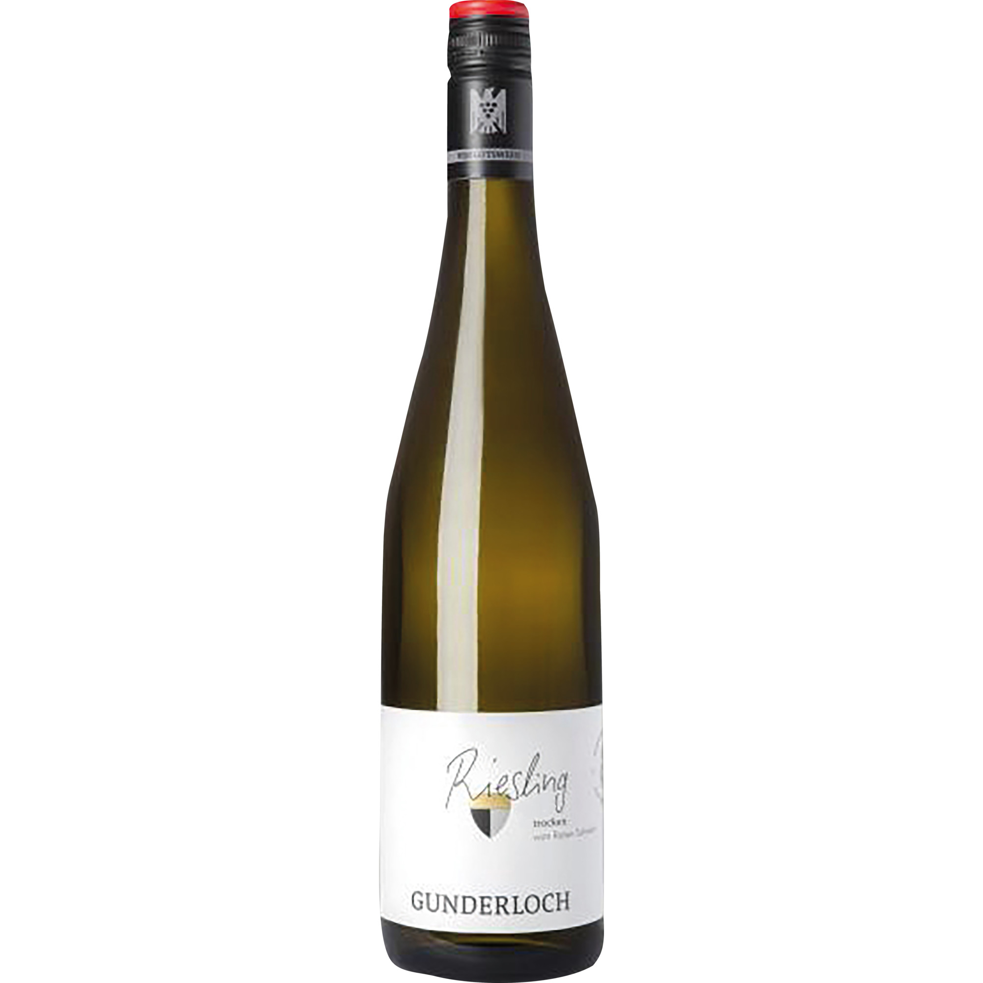 Roter Schiefer Riesling, Trocken, Rheinhessen, Rheinhessen, 2022, Weißwein