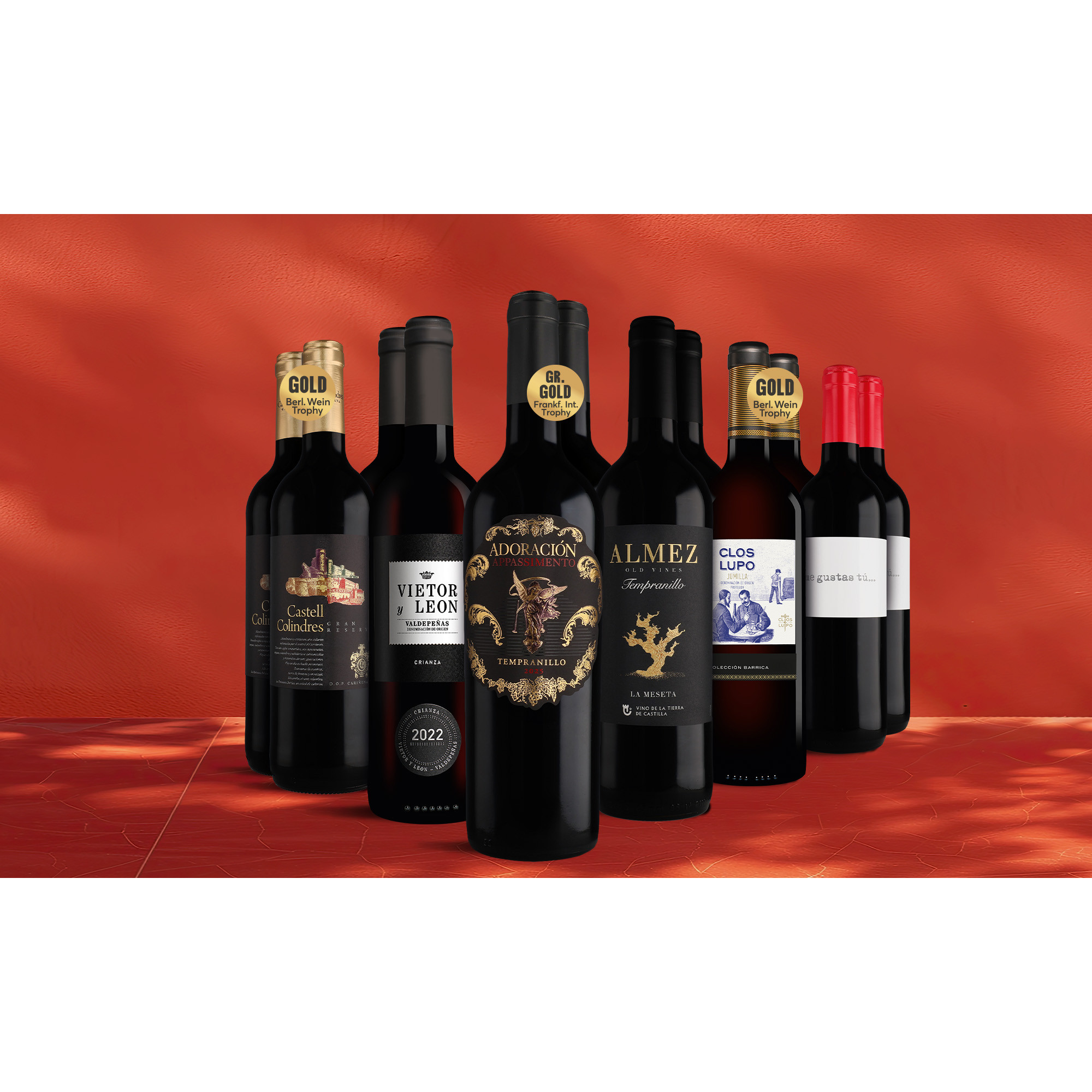 Rotwein-Topseller-Paket 9L Weinpaket aus Spanien