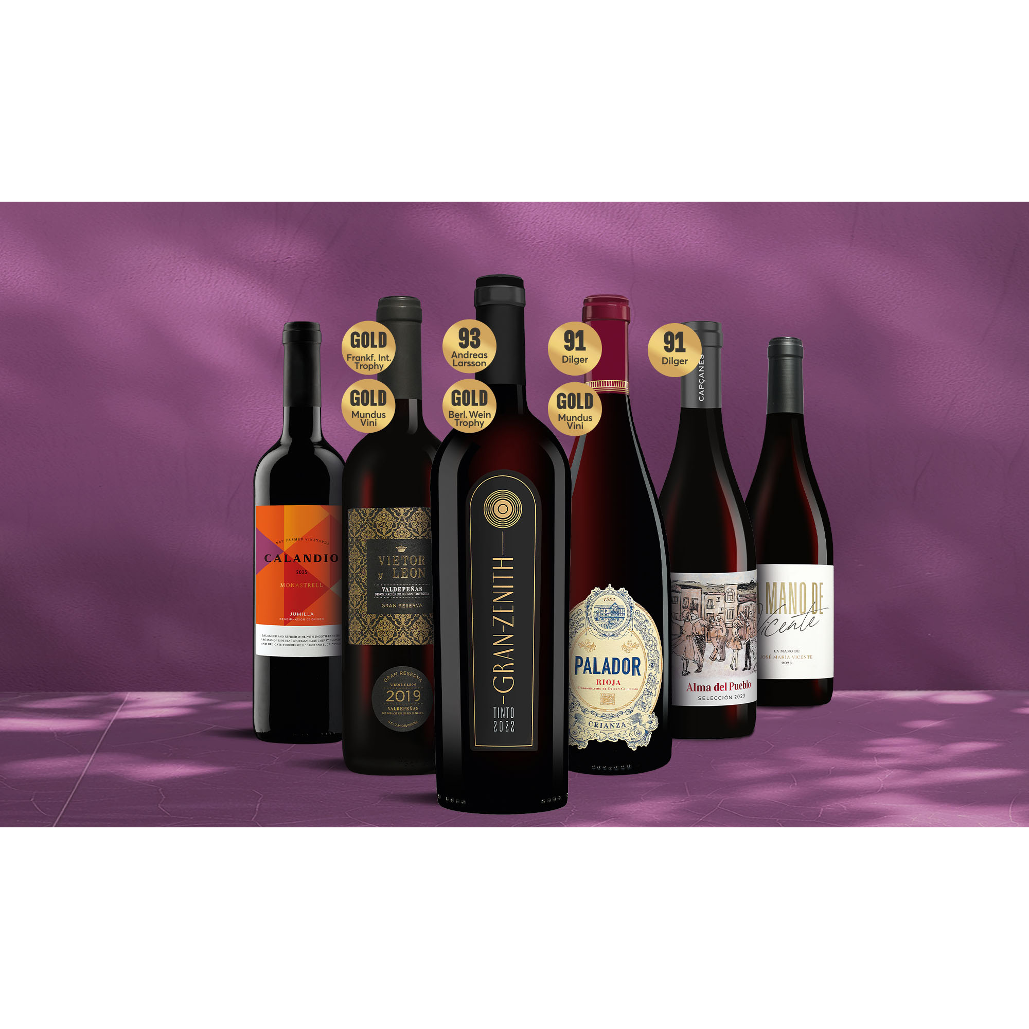 Rotwein-Vielfalt-Paket 4.5L Weinpaket aus Spanien