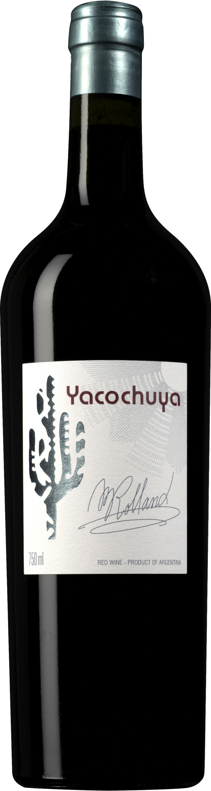 San Pedro de Yacochuya Yacochuya 2019