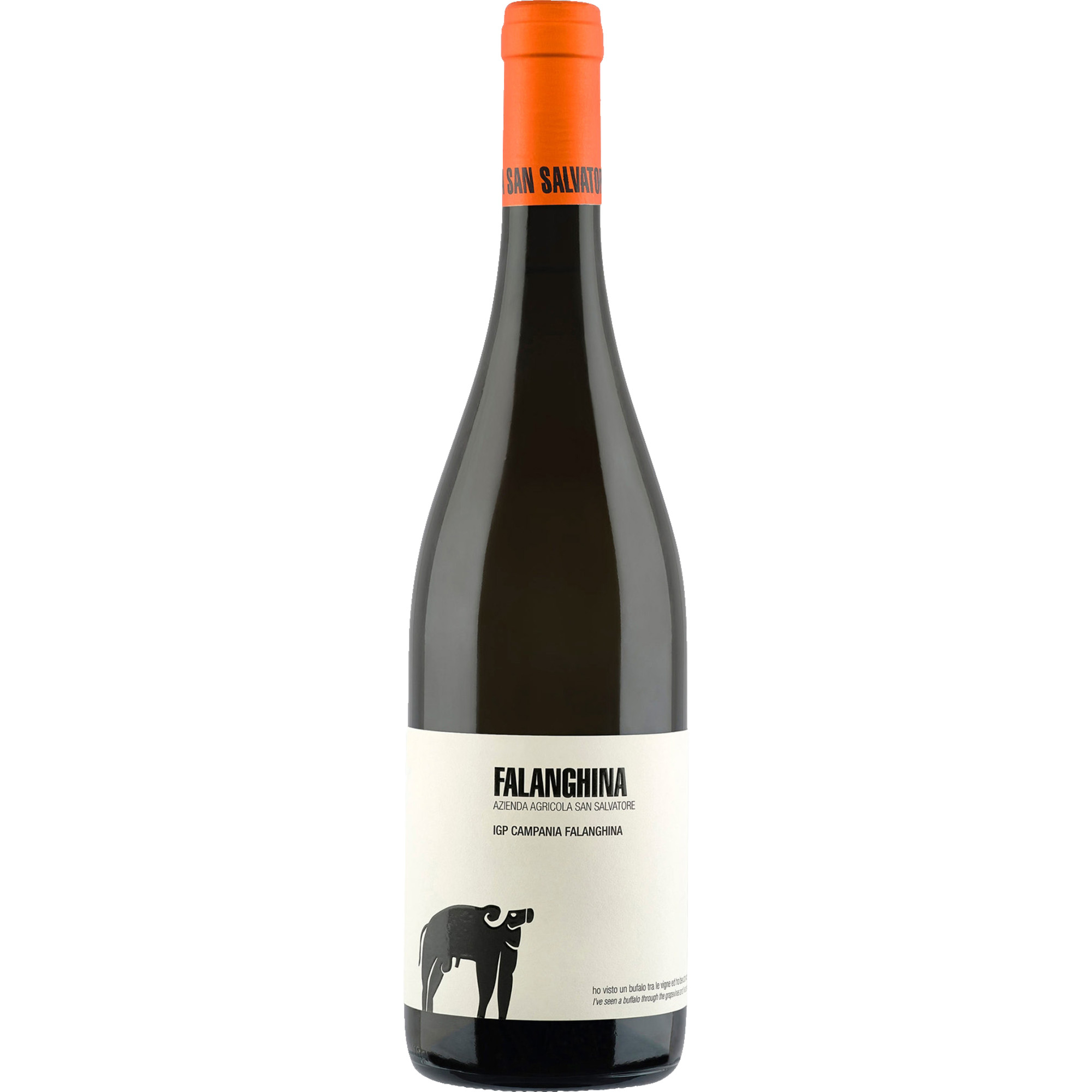 San Salvatore Falanghina Bianco, Campania IGP, Kampanien, 2025, Weißwein