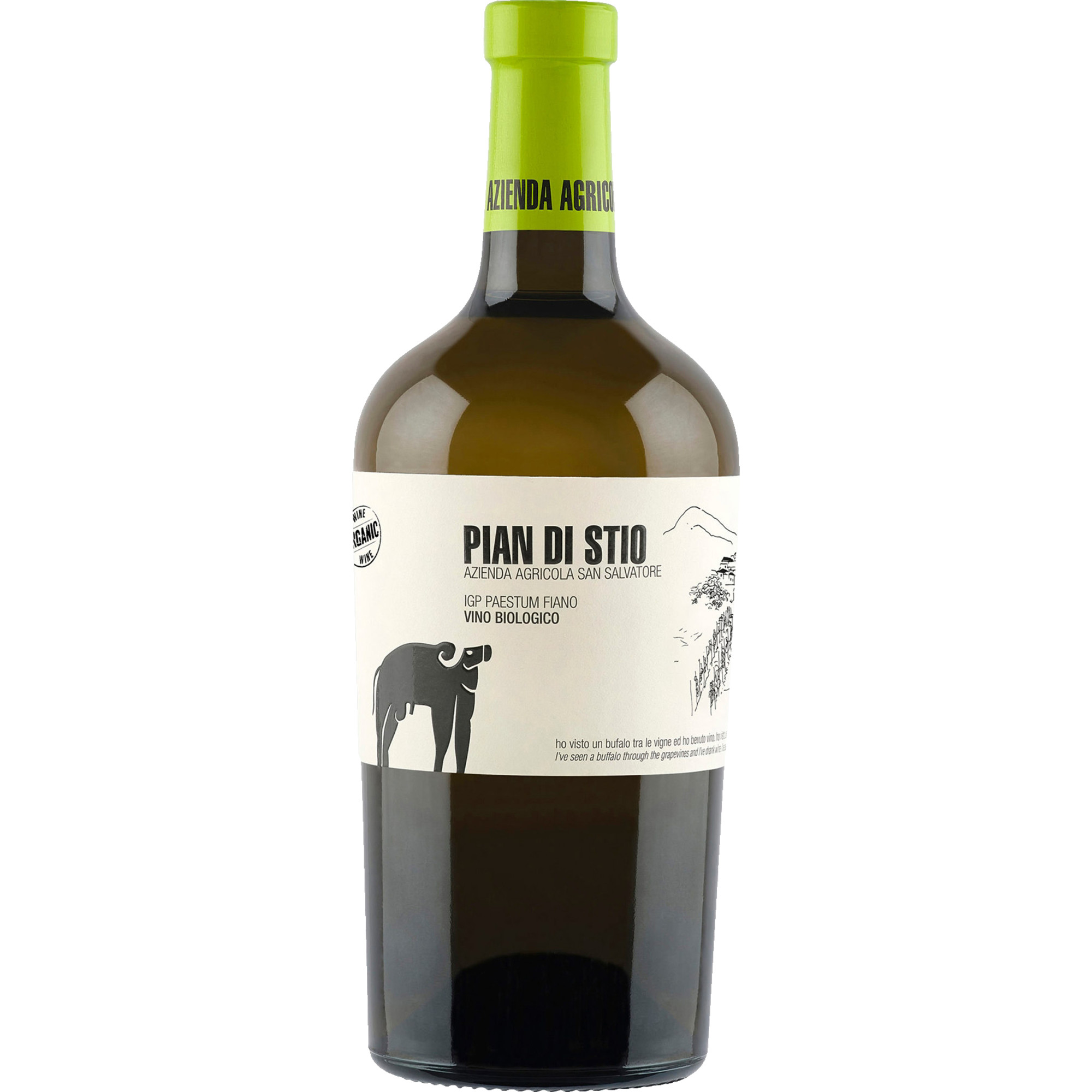 San Salvatore Pian di Stio Fiano, Paestum IGP, Kampanien, 2022, Weißwein