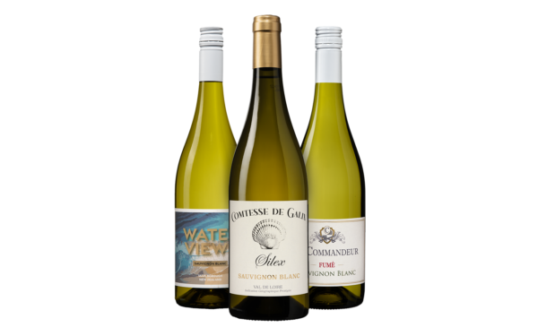 Sauvignon Blanc Probierpaket - die Weinbörse
