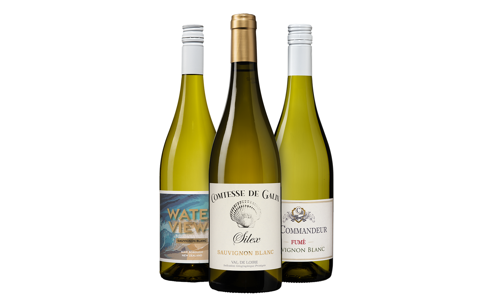 Sauvignon Blanc Probierpaket - die Weinbörse