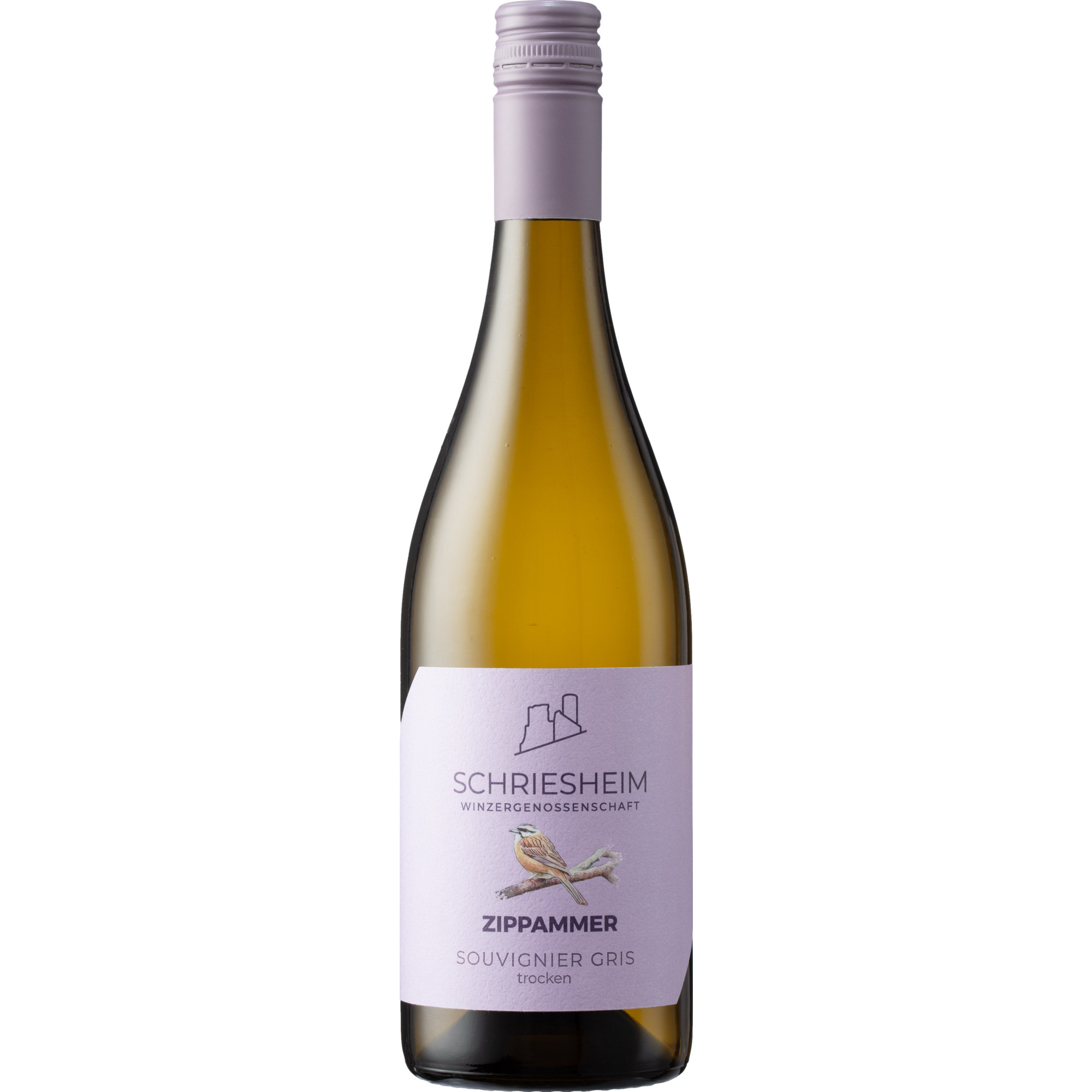 Schriesheimer Zippammer Souvignier Gris, Trocken, Baden, Baden, 2024, Weißwein