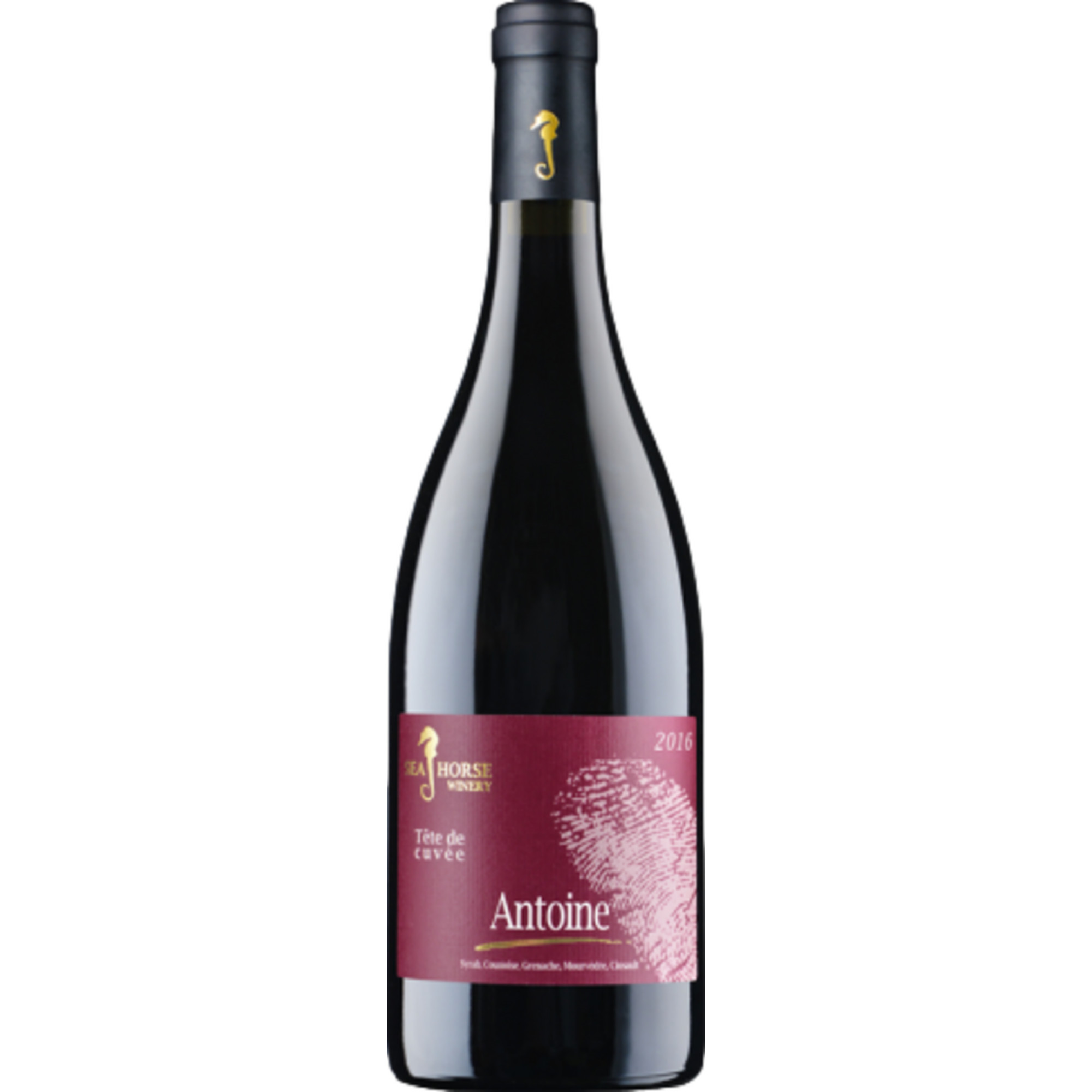 Sea Horse Antoine, Yehuda Mountains, Yehuda Mountains, 2020, Rotwein