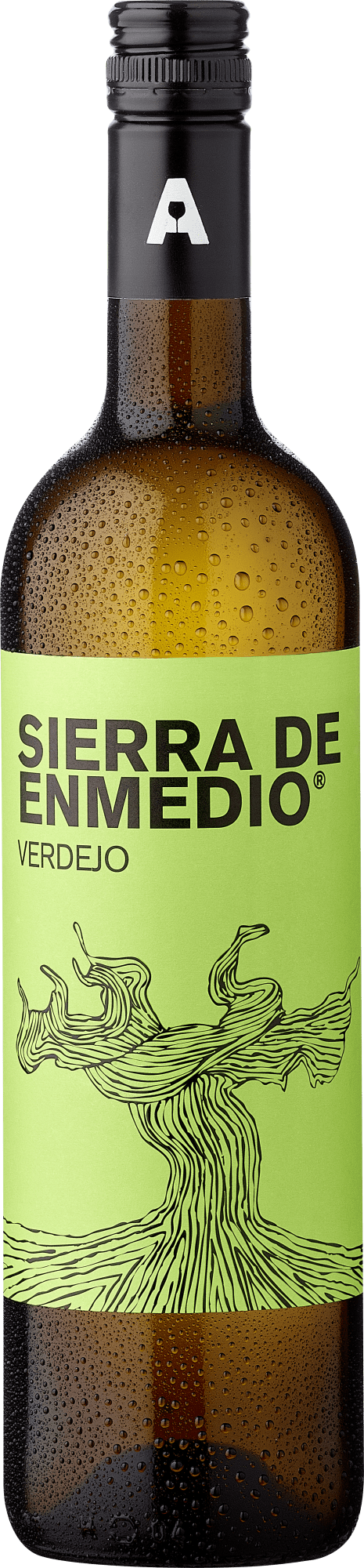 Sierra de Enmedio Verdejo