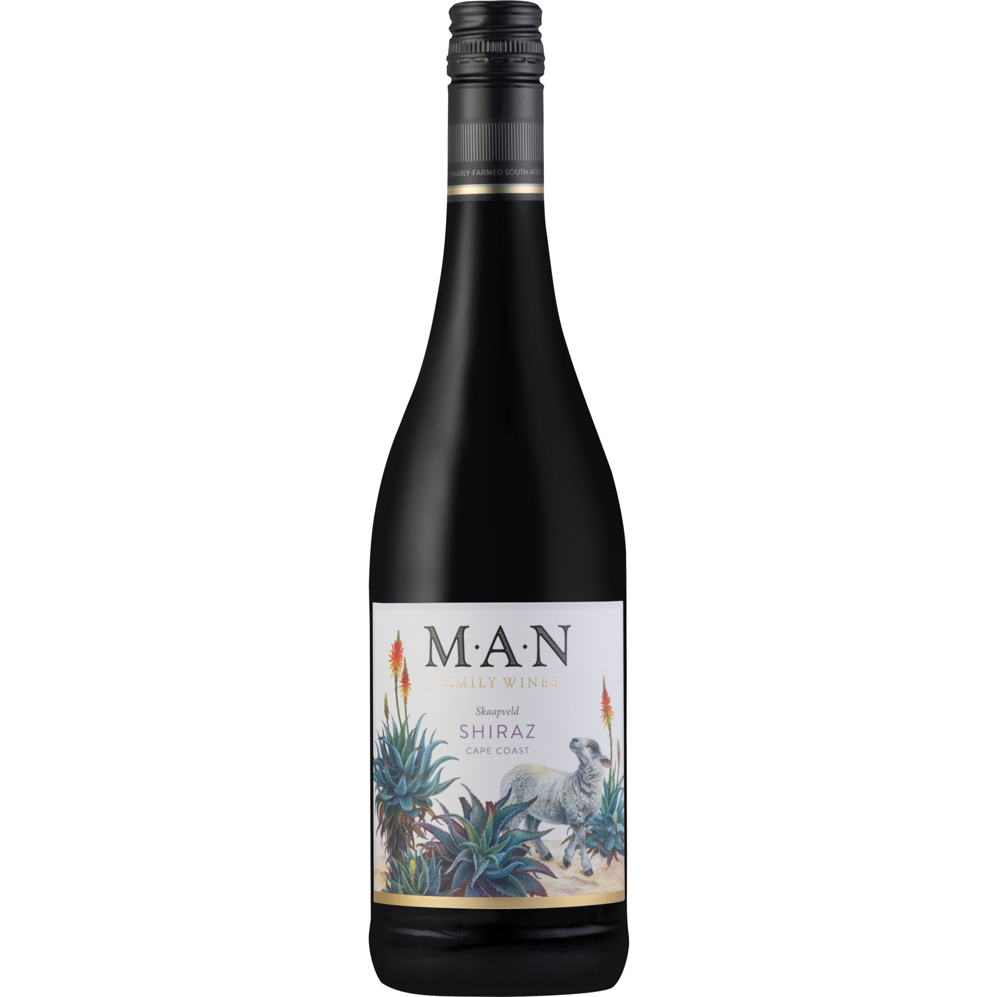 Skaapvelt Shiraz, WO Coastal region, Western Cape, 2024, Rotwein