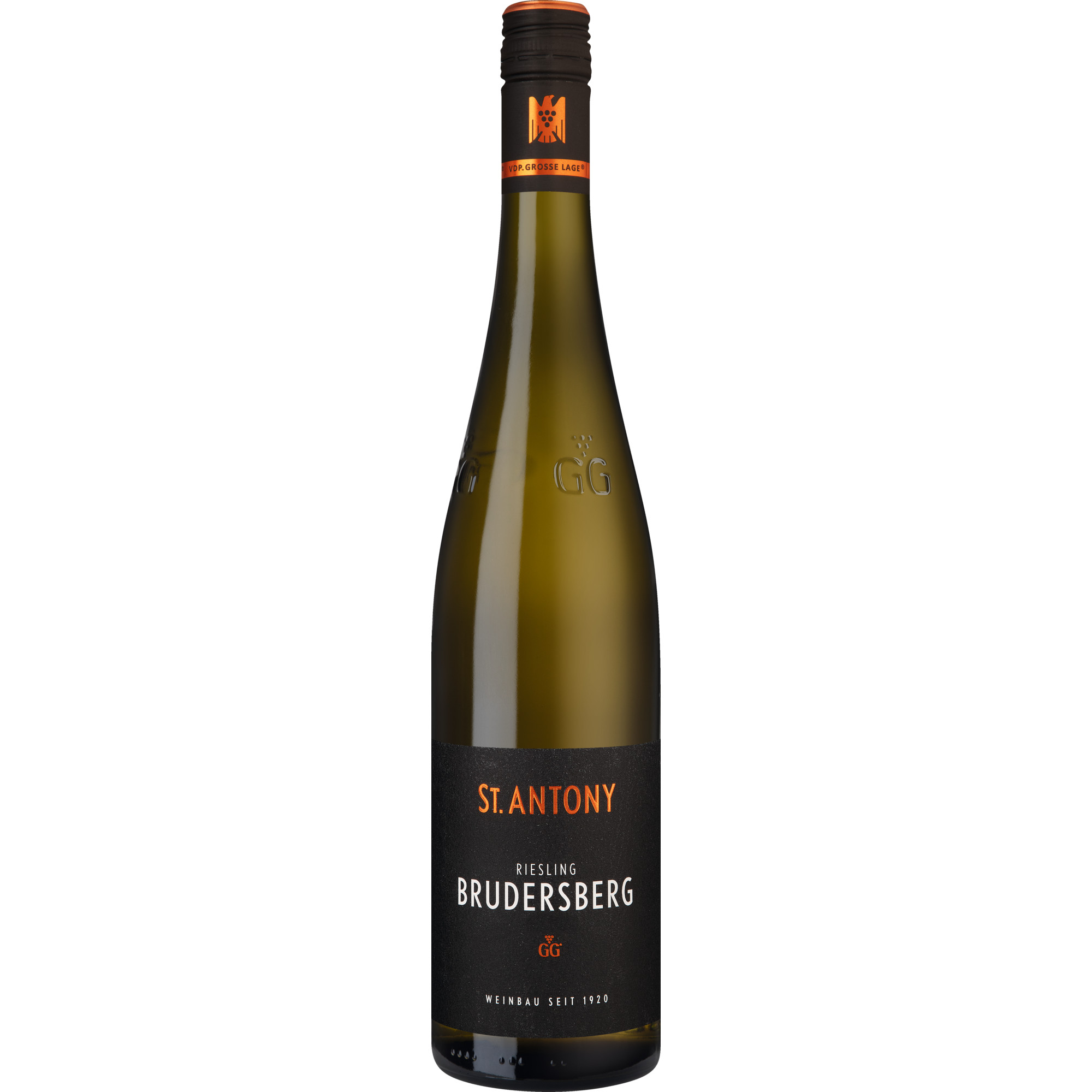 St Antony Brudersberg Riesling GG Bio, Trocken, Rheinhessen, Rheinhessen, 2025, Weißwein