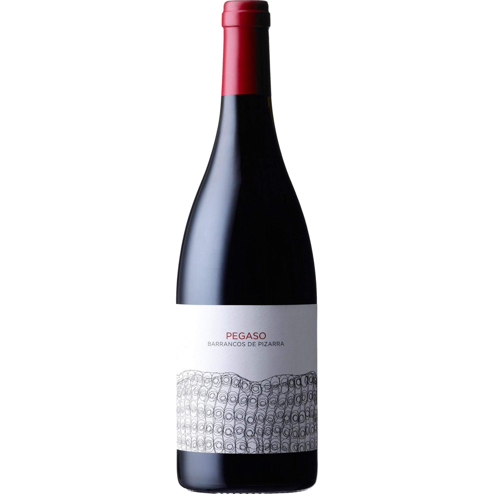 Telmo Rodriguez Pegaso Barrancos de Pizarra, Cebreros DO, Kastilien - León, 2022, Rotwein