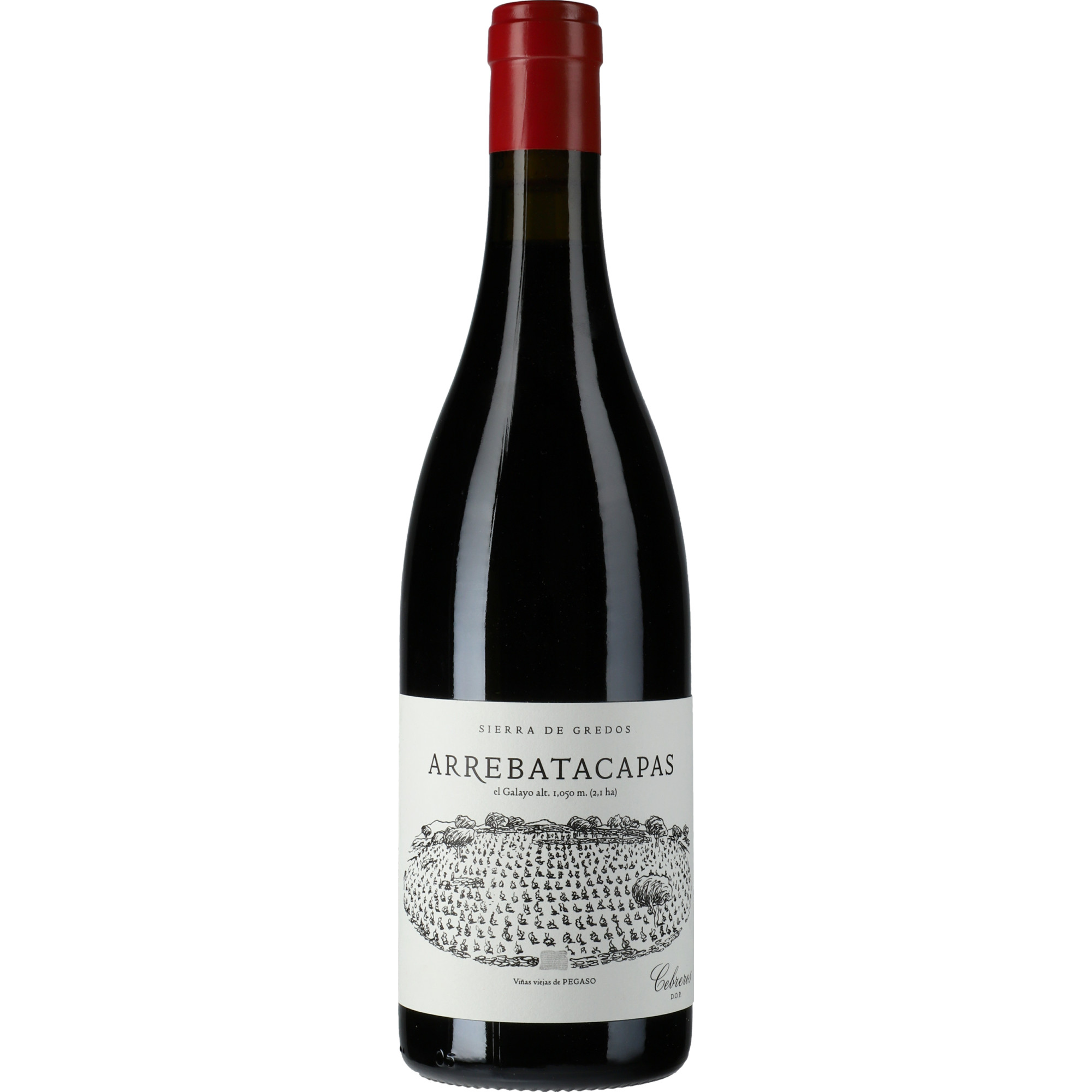Telmo Rodriguez Pegaso Viñas Viejas Arrebatacapas, Cebreros DO, Kastilien - León, 2023, Rotwein