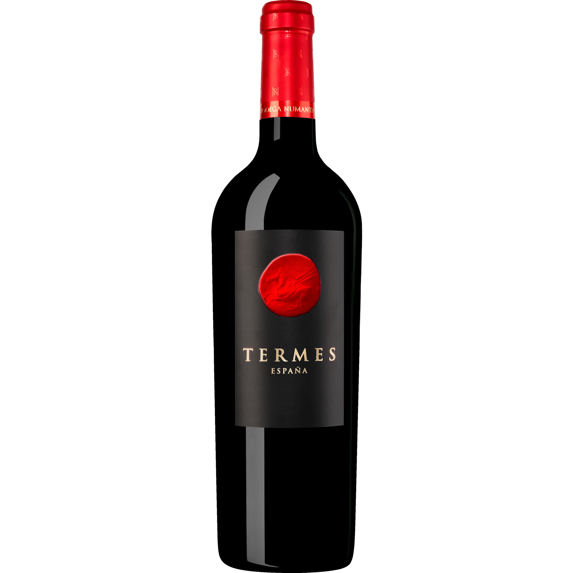 Termes, Toro DO, Kastilien - León, 2022, Rotwein