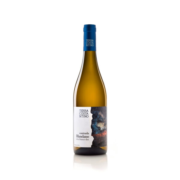 Terra Costantino Fabio Vincenzo Contrada Blandano, Terre Siciliane IGP, Sizilien, 2018, Weißwein