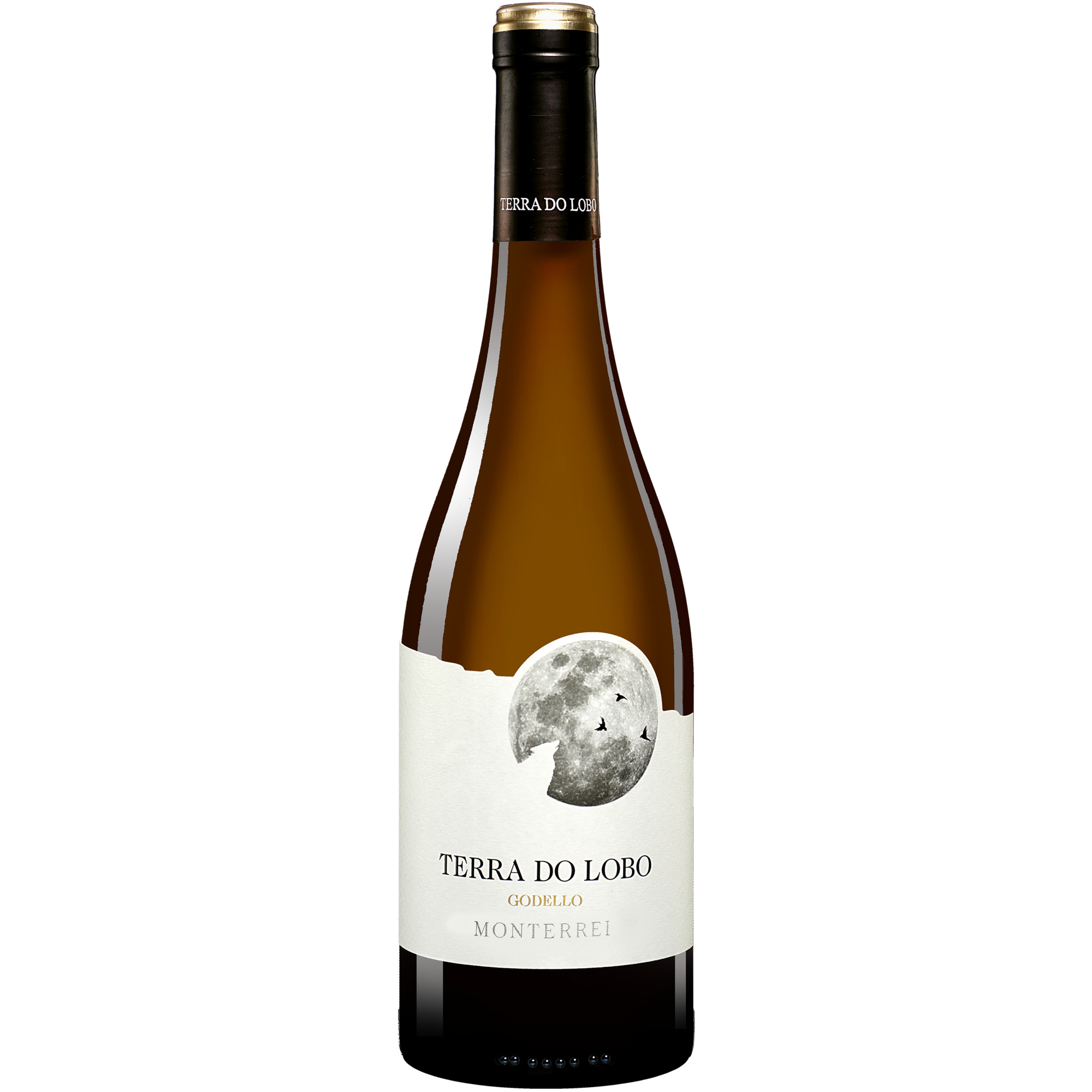 Terra do Lobo 2025 0.75L 13.5% Vol. Weißwein Trocken aus Spanien