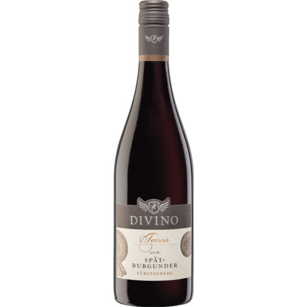 Terroir Escherndorfer Fürstenberg Spätburgunder, Trocken, Franken, Franken, 2021, Rotwein