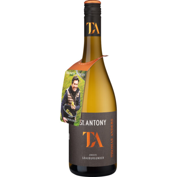 Thomas Anders Grauburgunder, Trocken, Rheinhessen, Rheinhessen, 2024, Weißwein