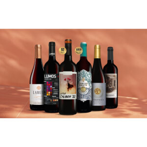 Tinto-Favoriten 4.5L Weinpaket aus Spanien