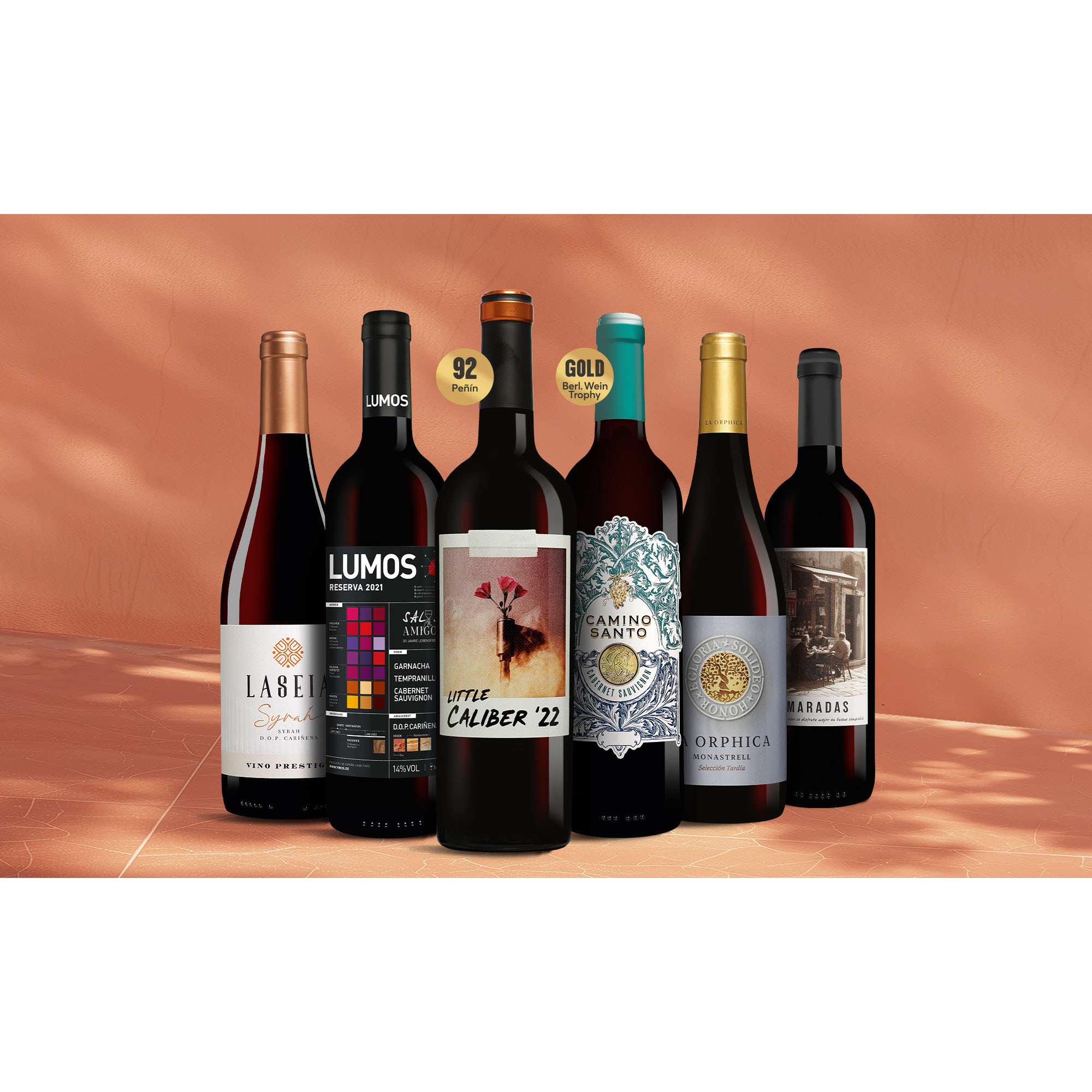 Tinto-Favoriten 4.5L Weinpaket aus Spanien