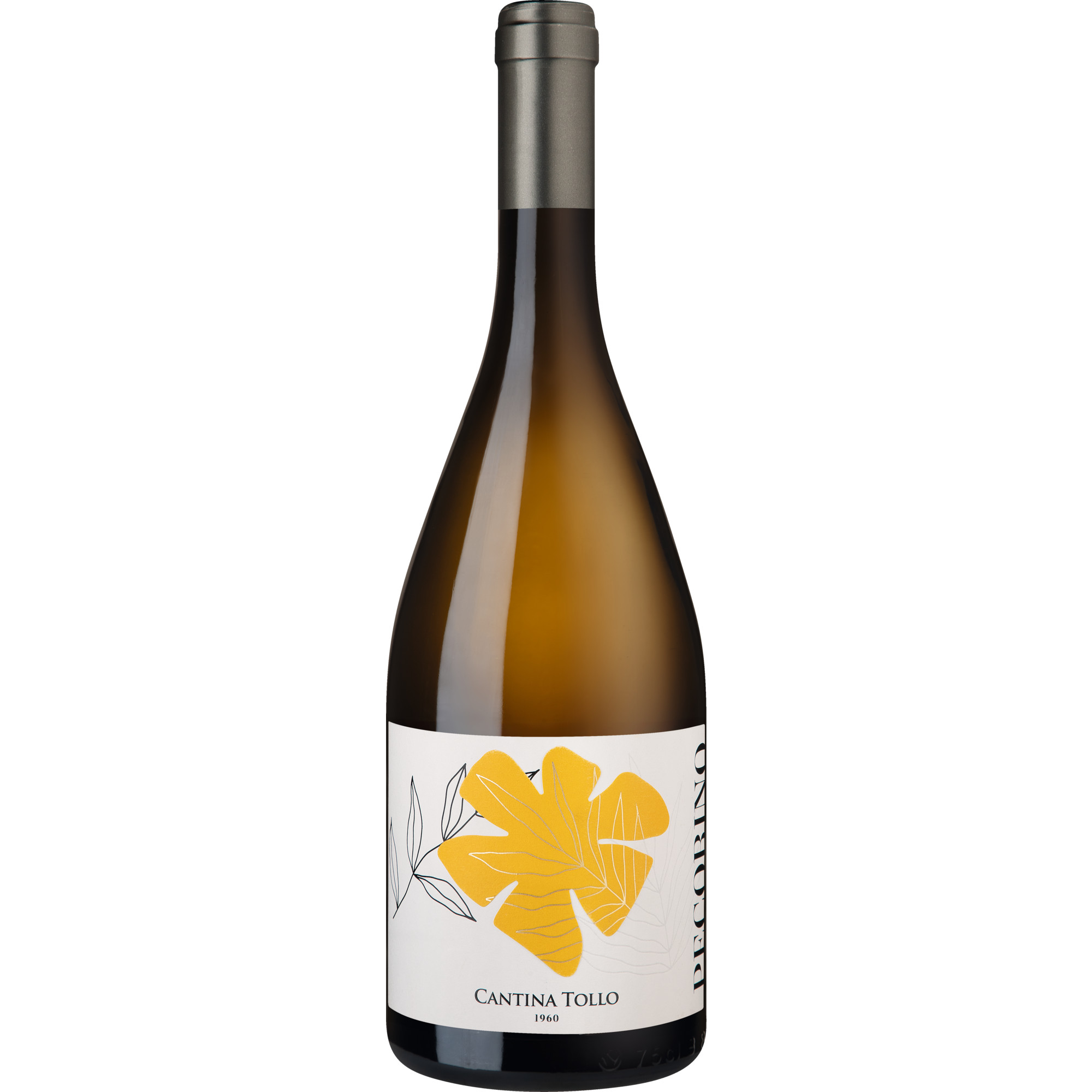 Tollo Pecorino, Terre d’ Abruzzo IGP, Abruzzen, 2024, Weißwein