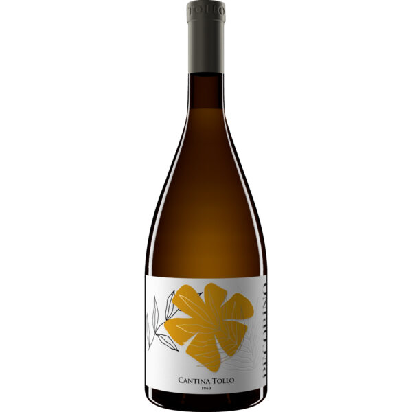 Tollo Pecorino, Terre d’Abruzzo IGP, Abruzzen, 2025, Weißwein